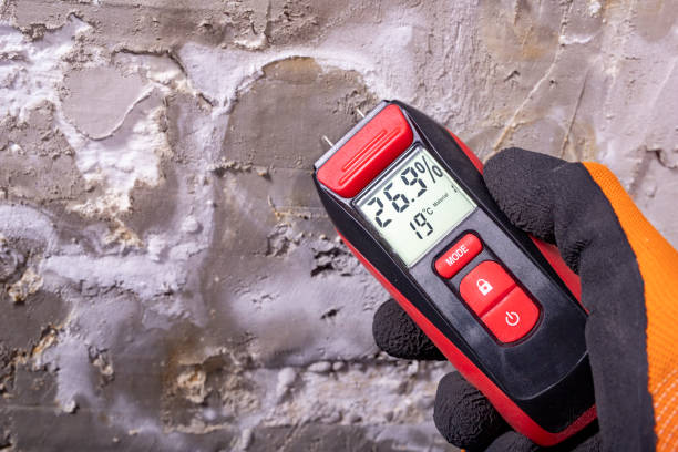 Best Commercial Mold Remediation in Loveland, OH